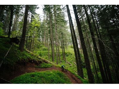 Santa Cruz Hightower C / GX AXS / 29, translucent purple - Bild 16