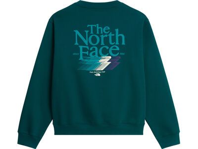 The North Face M Retro Trail Relaxed Crew Graphic, pacific teal - Bild 2