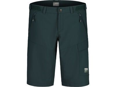 Maloja KehrwaldM., mountain pine - Bild 1