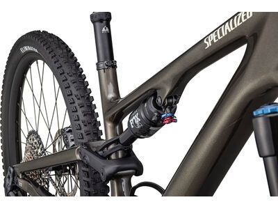 Specialized Stumpjumper 15 Expert - 29/29, gunmetal/white mountains - Bild 6