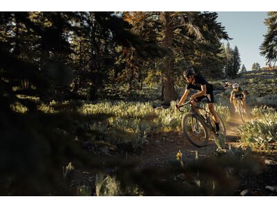 Specialized Turbo Creo 2 E5 Comp, satin taupe/birch - Bild 15