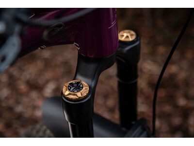 OAK Components Forkcap HSC für Fox 34, 36, 38, 40, copper - Bild 2