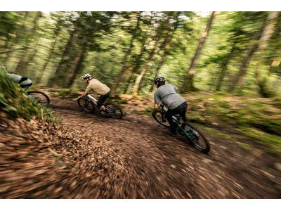 Focus Jam² 6.7 - 600, white / adamantsilver - Bild 34