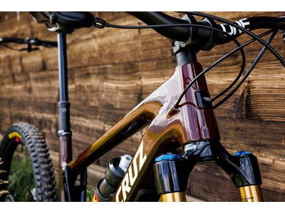 Santa Cruz Bronson CC Frameset, translucent root beer - Bild 7