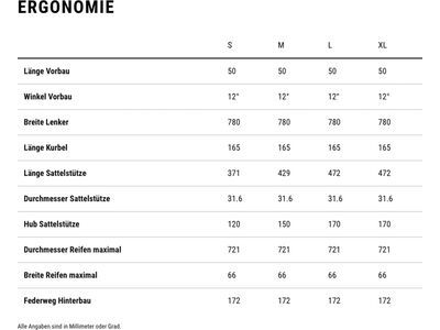Cube Stereo Hybrid One77 HPC AT 800, actionteam - Bild 7