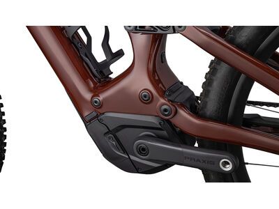 Specialized Turbo Levo Pro Carbon, gloss rusted red/satin redwood - Bild 7