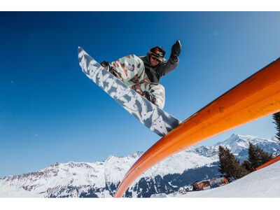 Bataleon Disaster - Bild 6