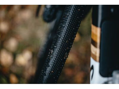 Schwalbe G-One RS Pro Addix Race / Race Pro V-Guard - 700C - Bild 18