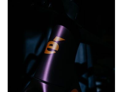 Cervelo Aspero-5 Limited Edition Frameset, black currant - Bild 6