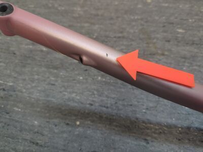 ***2. Wahl*** Specialized Aethos Rahmenset flake silver/dusky pink + champ. radial fades - Bild 2