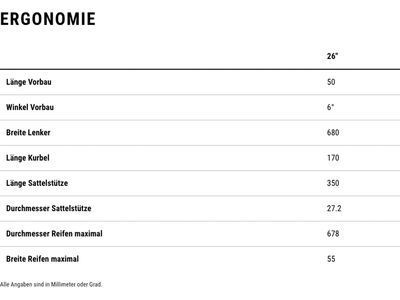 Cube Acid 260 Disc, lizard´n´blue - Bild 8