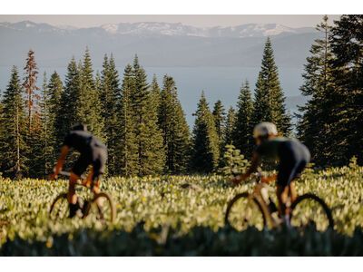 Specialized Turbo Creo 2 Expert Carbon, black pearl/birch/black pearl - Bild 19