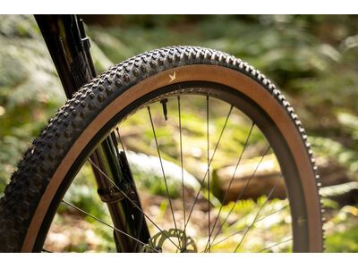 Schwalbe Rick XC Pro Evo Addix Speed TLR - 29 Zoll, transp. sidewall - Bild 17