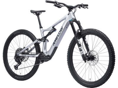 ***2. Wahl*** Amflow PL Carbon - 800 Wh satin silver - Bild 6