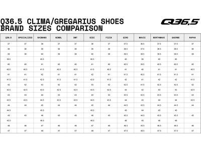 Q36.5 Gregarius Adventure Shoes, white - Bild 7