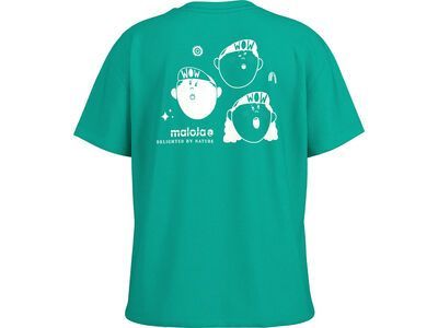 Maloja KavangiM., polar light - Bild 2