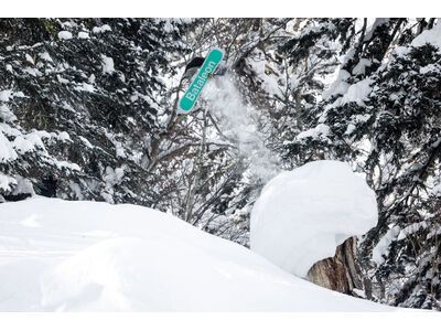 Bataleon Goliath Wide - Bild 8