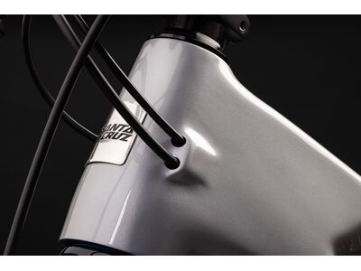 Santa Cruz Megatower C / 90 / 29, gloss silver - Bild 5