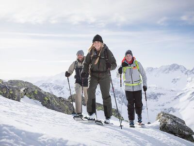 Komperdell Carbon C.2 Ultralight, black/berry - Bild 7