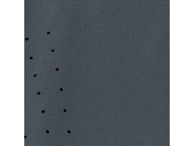 GOREWEAR Fernflow Shorts Damen, lab graphite - Bild 11