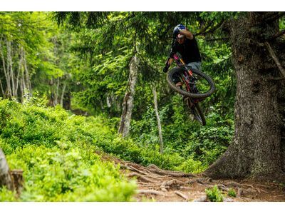 Santa Cruz Bronson C / GX AXS / MX, matte poblano green - Bild 16