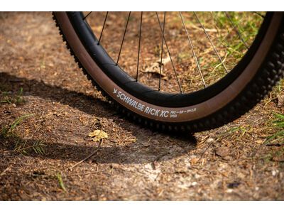 Schwalbe Rick XC Pro Evo Addix Speed TLR - 29 Zoll, transp. sidewall - Bild 16