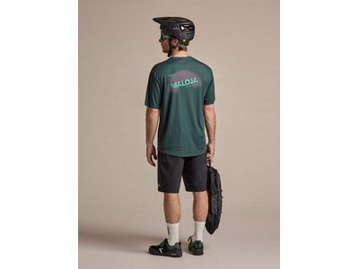 Maloja StaubachM., mountain pine - Bild 5