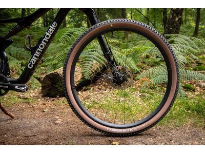 Schwalbe Rick XC Pro Evo Addix Speed TLR - 29 Zoll, transp. sidewall - Bild 19