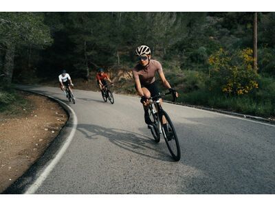 Q36.5 Dottore Pro Jersey, optic white - Bild 6