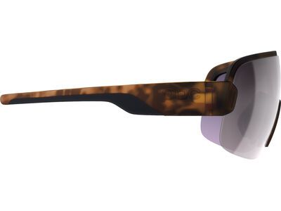 POC Aim, Clarity Road/Sunny Silver, tortoise brown - Bild 3