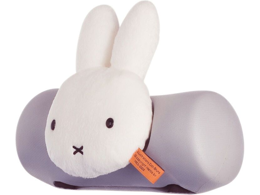 Siège Enfant Avant THULE Yepp Mini - Noir